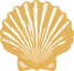 Decorative shell image
